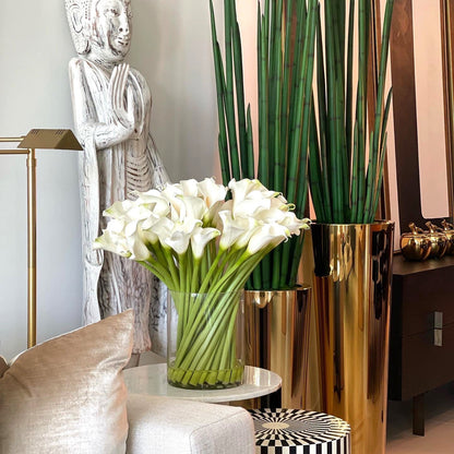 Calaoton artificial plant in decorative pot