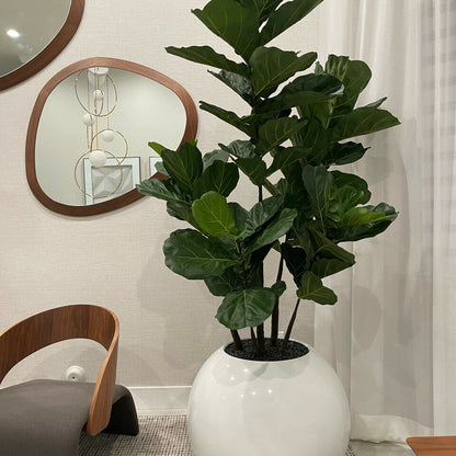 Inchivul artificial plant in vase
