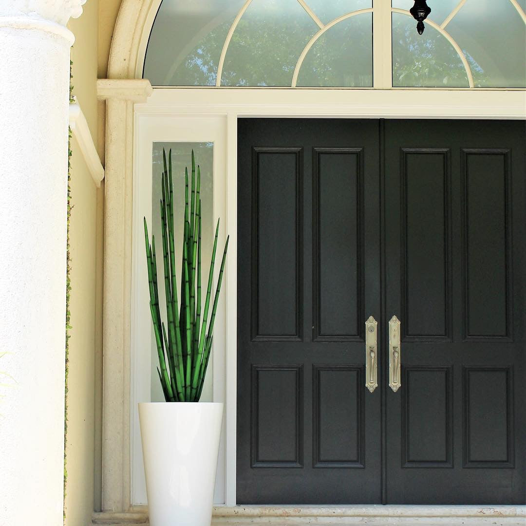 Snakeovol artificial plant in planter